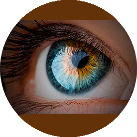 Taktilesdesign GmbH